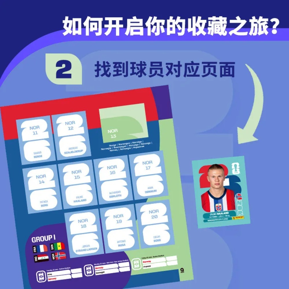 Kotak Koleksi Stiker Panini Pi - Sticker Sheet Set ulasan dan harga