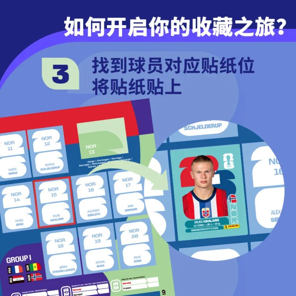 Kotak Koleksi Stiker Panini Pi - Sticker Sheet Set ulasan dan harga